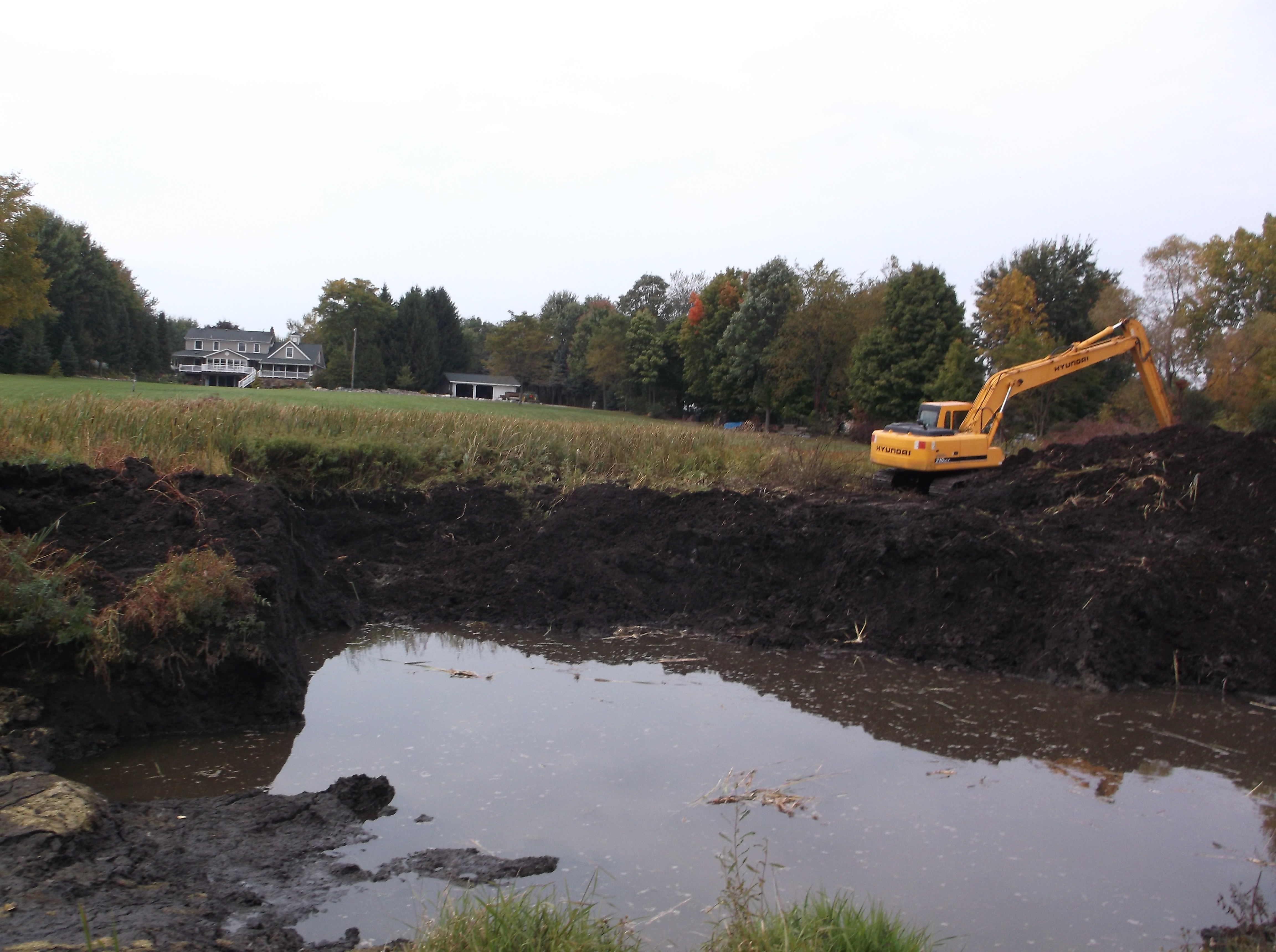 fish_pond_excavation_Plymouth_Michigan_36.jpg?t=1462896759303