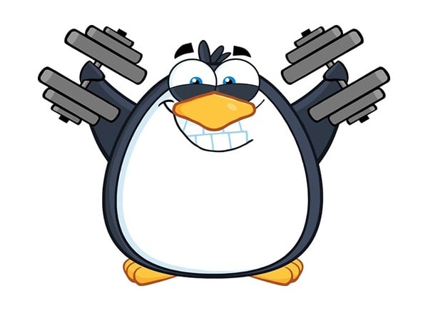 google-penguin-everflux-compressed.jpg