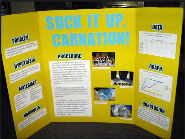 how-to-develop-high-school-science-fair-projects-3-key-tips