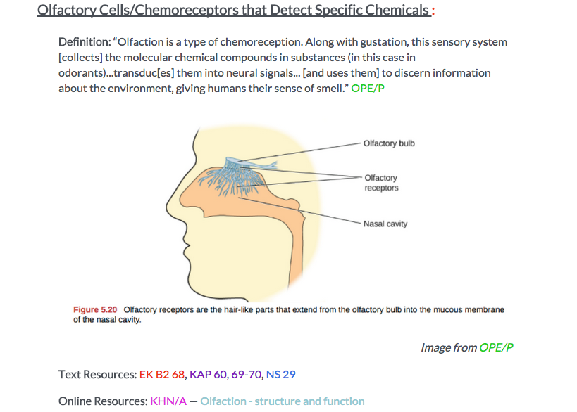 PsychSocOutlinePic