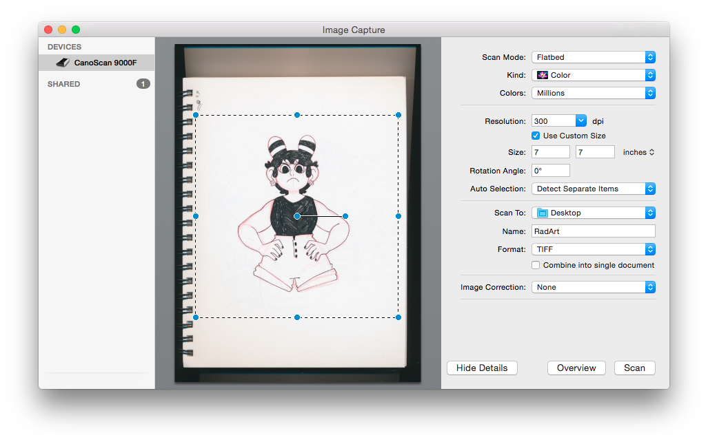 How to Convert Traditional Artwork & Illustration to Digital Art