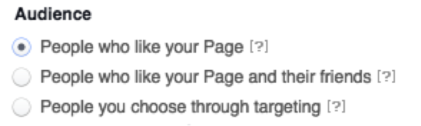 audience_options audience_options