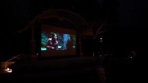 outdoor movie screen rentals charleston south carolina