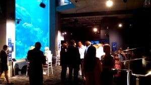 AWards banquet lighting rentals at south carolina Aquarium