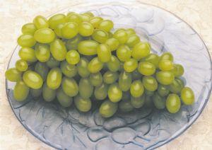 green-grapes-on-a-plate green-grapes-on-a-plate