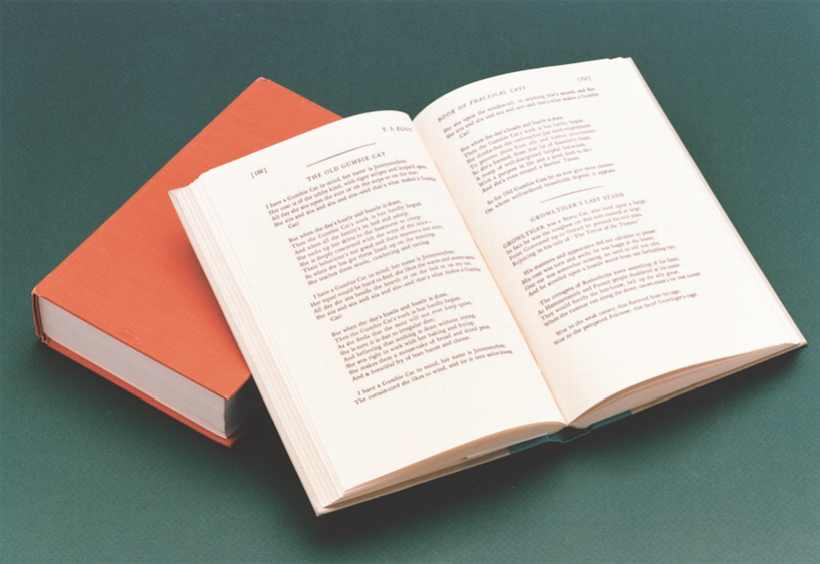 open-book-reading.png