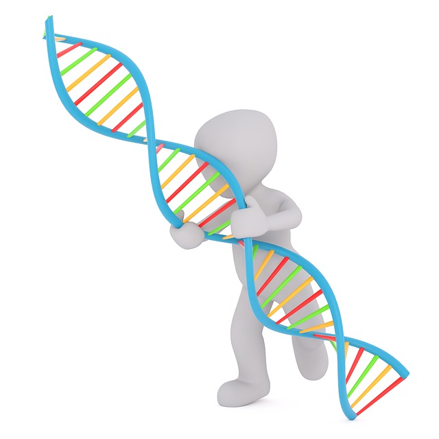 brain-development-protein-autism