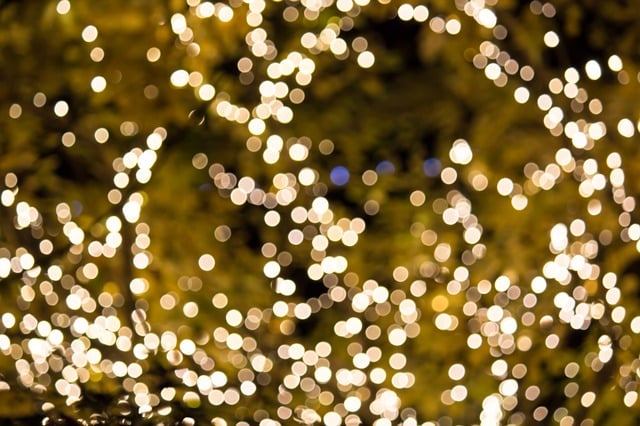 Autism and the Holidays: Advice from the Front Lines