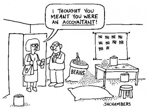 chartered accountant jokes