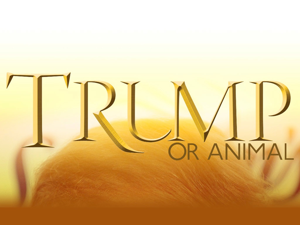 Trump-or_animal-hilarious-game-youth-groups.jpg