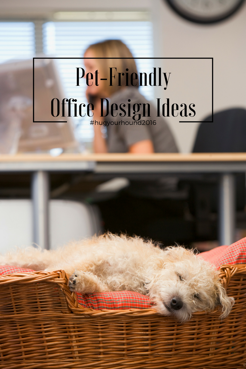 Pet_Friendly_Office_Design_Ideas.png