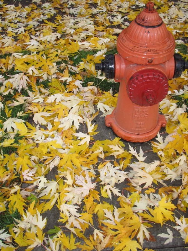 fall-fire-hydrant