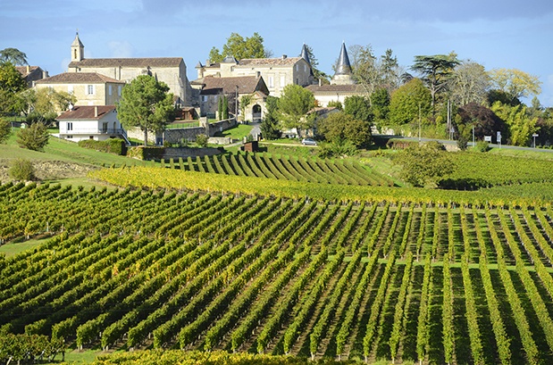 AdobeStock_Bordeaux_Vineyards_france.jpg