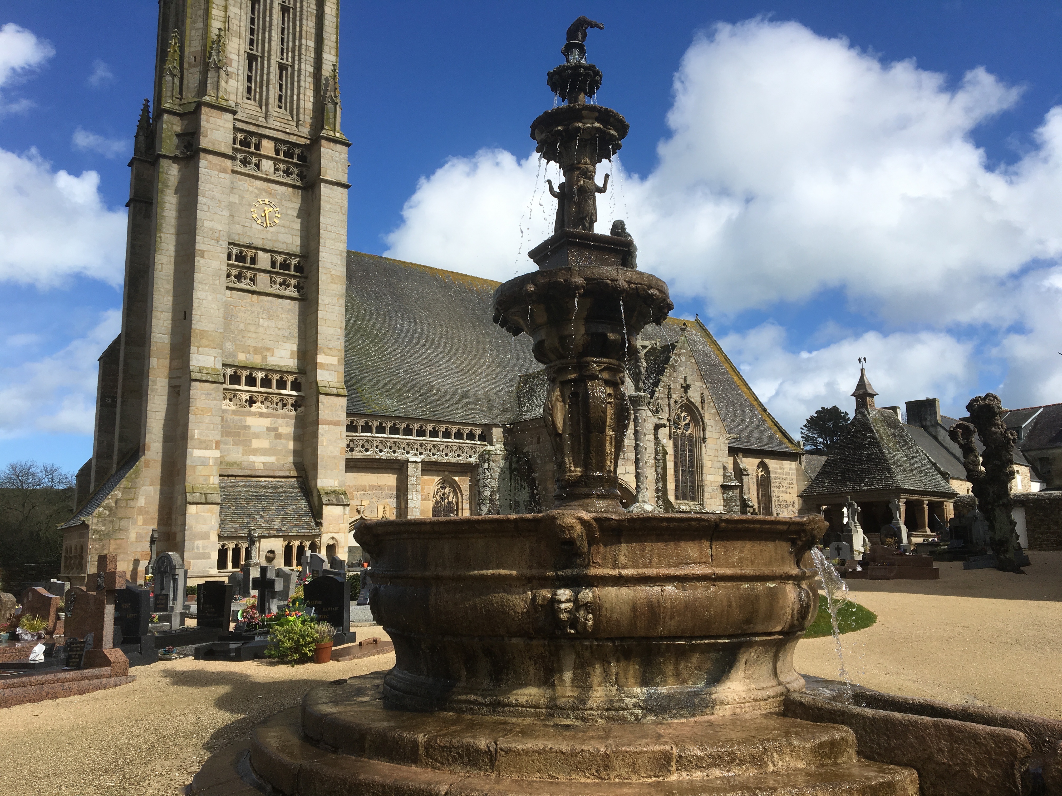 DEL_ROSSI_2016_ - 1.jpg