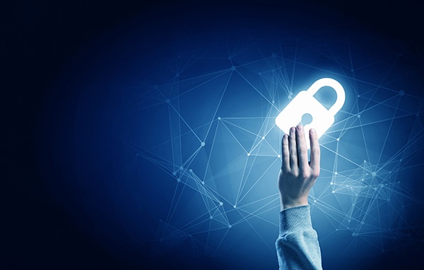 cyber security consultant