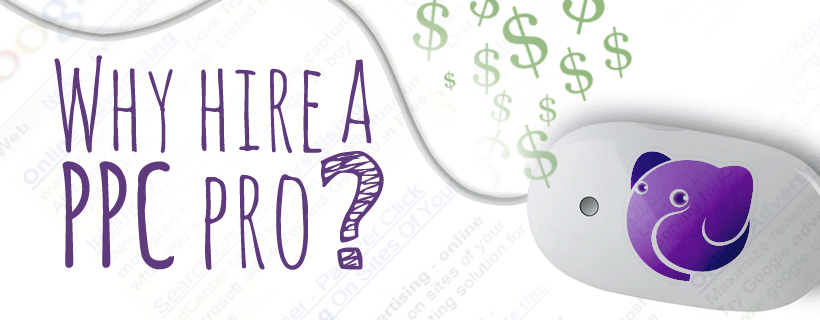 Why Hire A PPC Pro? - Banner Image