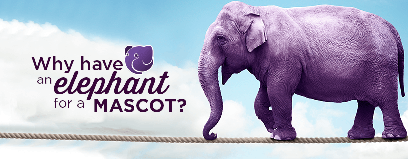 Why We Have an Elephant Mascot - Elephant Banner
