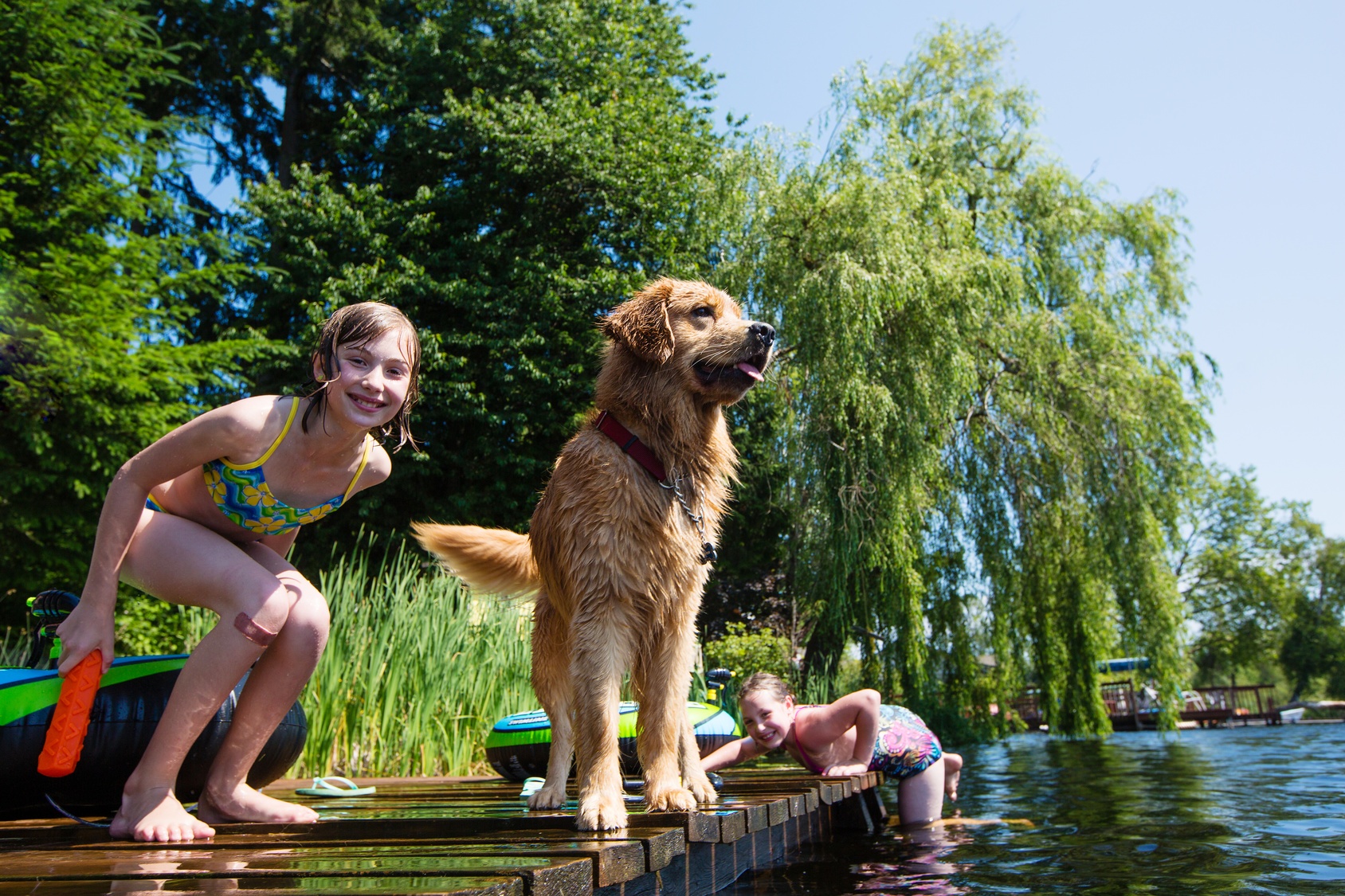 swimming_with_dog