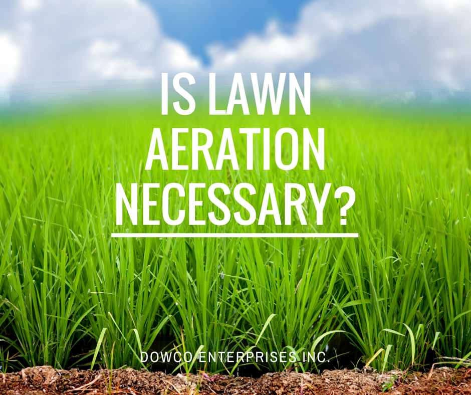 Lawn_Aeration_2015