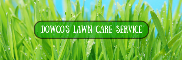 Dowco's Lawn Care Service