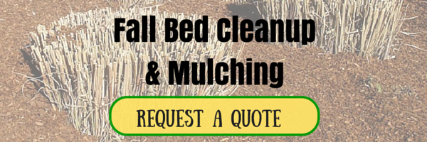 Request a Quote for Fall Bed Cleanup
