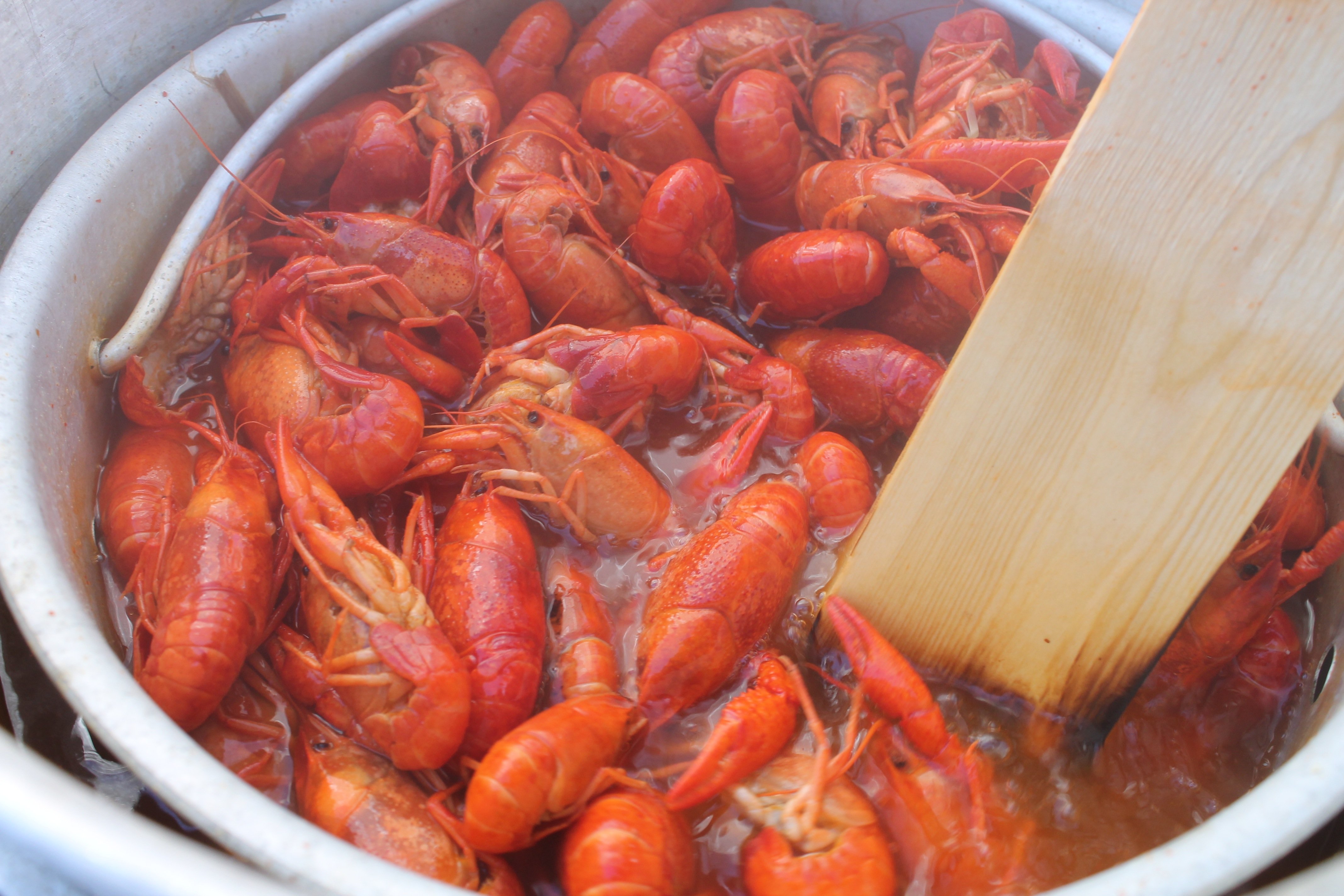 Health_benefits_of_crawfish_Deanies_Seafood_Restaurant_New_Orleans_best_seafood_restaurant.jpg