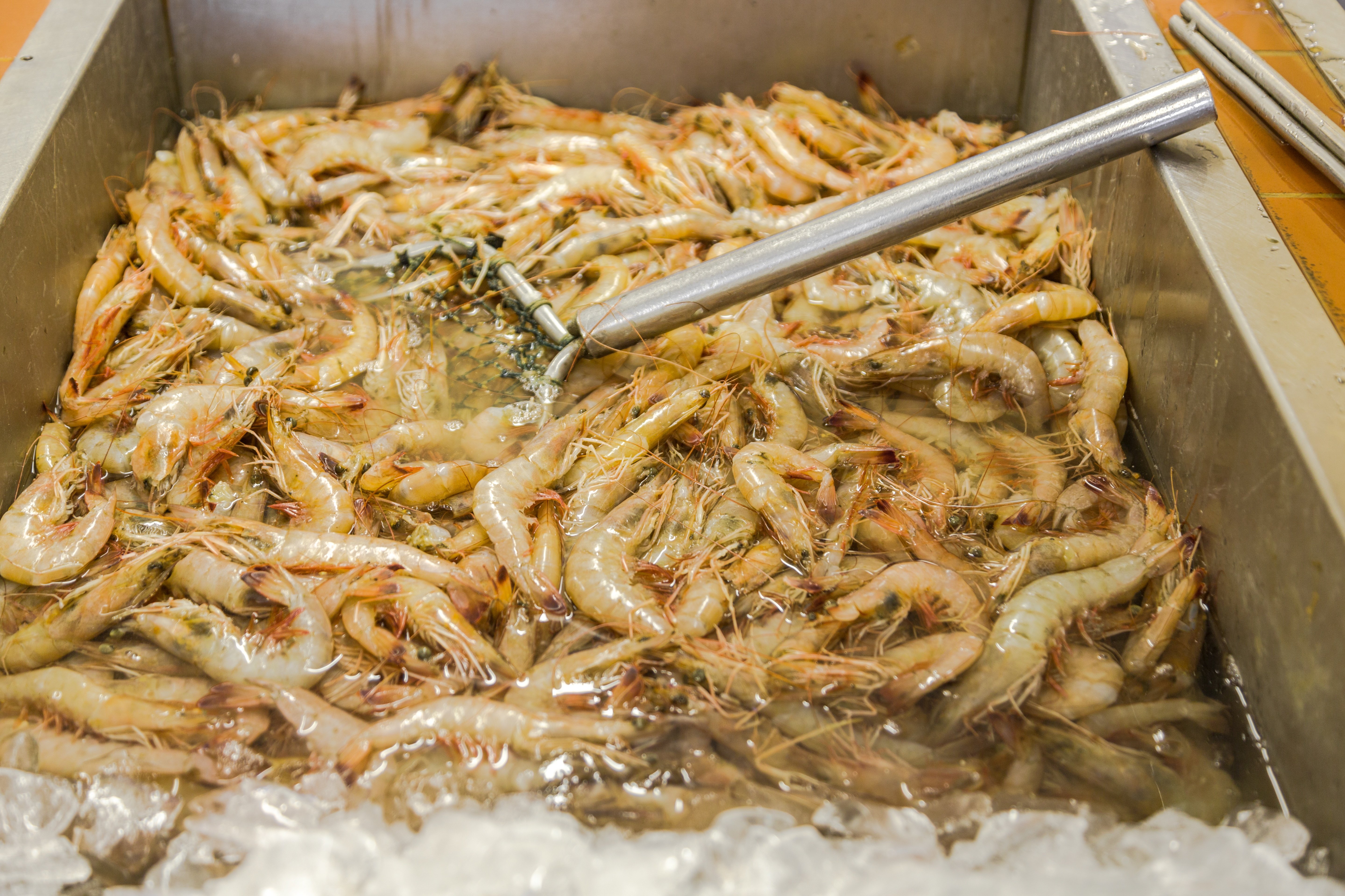 Deanies Seafood Wild Louisiana Gulf Shrimp Seafood Market