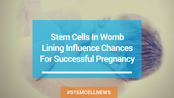 apr16-stem-cells-in-womb-lining-influence-changes-for-successful-pregnancy.png