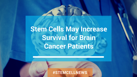 apr17-stem-cells-may-increase-survival-for-brain-cancer-patients.png