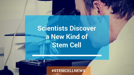 apr23-scientists-discover-a-new-kind-of-stem-cell.png