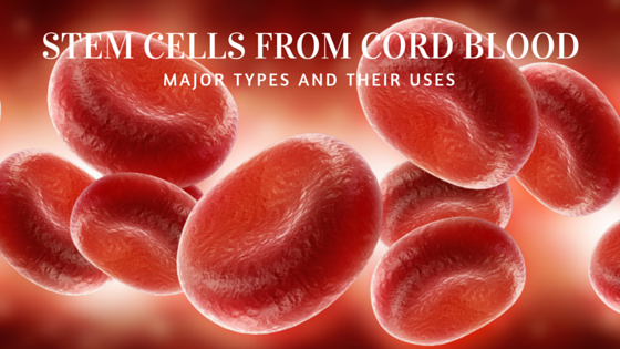 apr27-the-major-types-of-stem-cells-in-cord-blood-and-their-uses.png