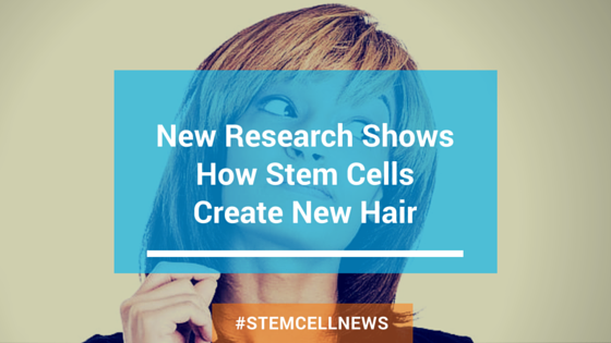 apr28-new-research-shows-how-stem-cells-create-new-hair.png