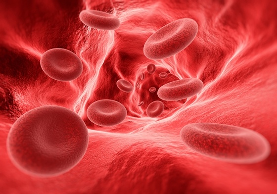 Aug31-Researchers_Show_How_Stem_Cells_Exit_Bloodstream.jpg