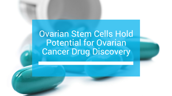 feb22-ovarian-stem-cells-for-ovarian-cancer-drug-discovery