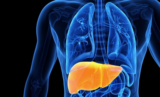 june18-liver-derived-stem-cells-may-help-treat-liver-disease.jpg