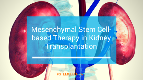 mar18-mesenchymal-stem-cell-based-therapy-in-kidney-transplantation