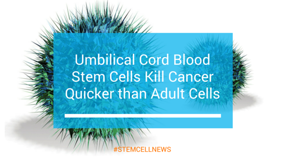 mar9-umbilical-cord-blood-stem-cells-kill-cancer-quicker-than-adult-cells