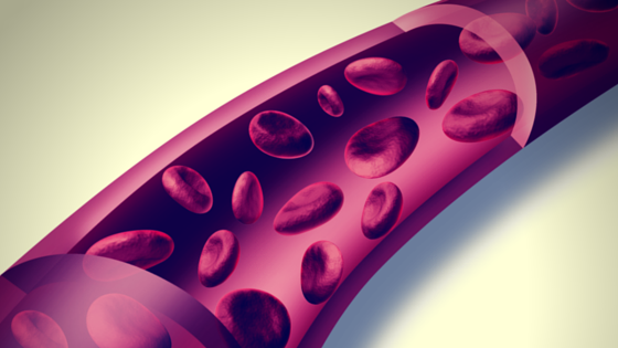 May_20-Technology_to_Grow_Blood_Vessels_Licensed_for_Development.png