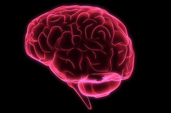 Nov16-Stem Cells Could Improve Stroke Recovery, Study Finds.jpg