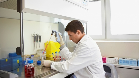 Sep_12_-_Scientists_Discover_Genetic_Switch_to_Increase_Cord_Blood_Stem_Cells_Supply.jpg