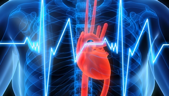 Sep_26_-_Stem_Cell_Therapy_Supercharge_the_Heart.jpg