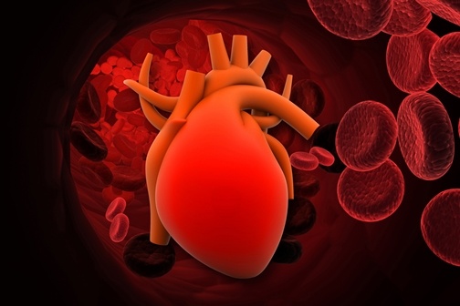 3d_render_of_Heart_with_red_cells
