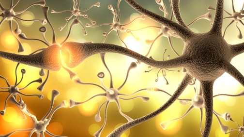 Nerve-Cell.-3D.-Neurons