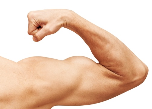 Strong_male_arm_shows_biceps._Close-up_photo_isolated_on_white
