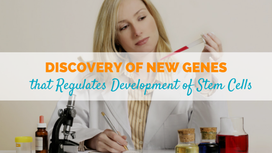 new-genes-that-regulates-development-of-stem-cells