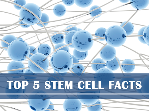 top-5-stem-cell-facts-blogheaderv2