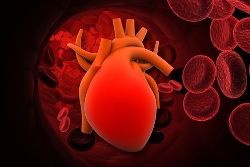 3d_render_of_Heart_with_red_cells.jpg