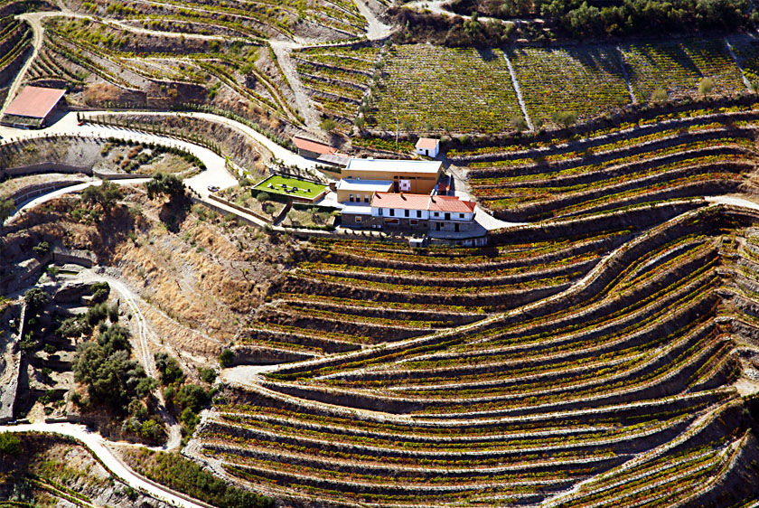 Best Douro Wineries - Quinta do Pôpa