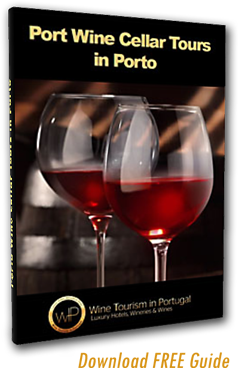 Port Wine Cellar Tour Guide Download