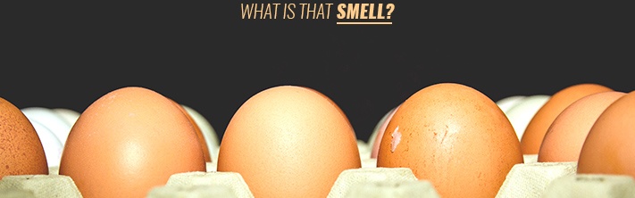 9 Rotten Egg Smell Spiritual Meanings